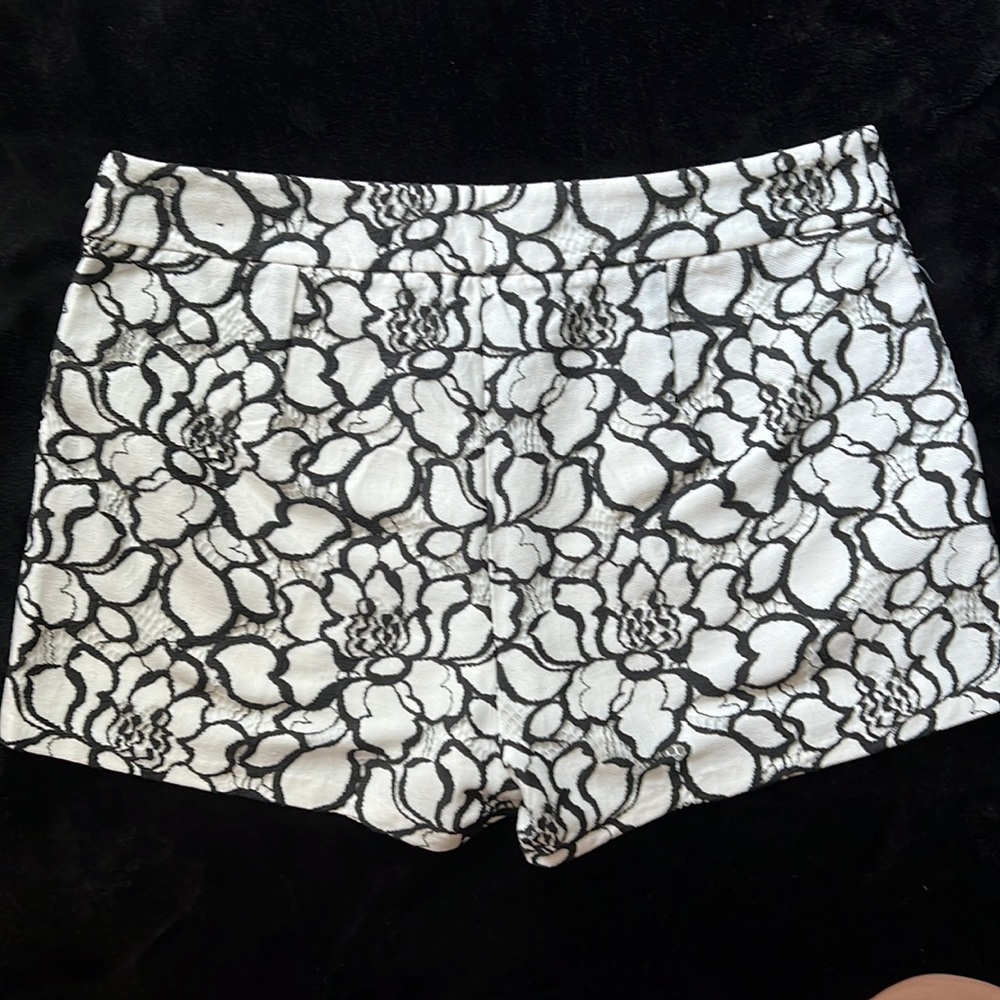 Express Shorts - Picture 4 of 6